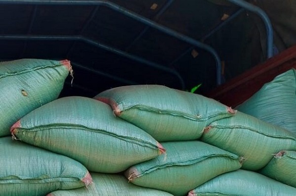 Maize-bags-e1696341832406