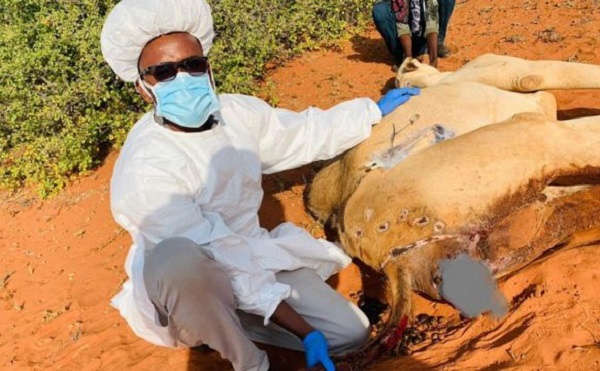 6a777b40-8f8d-11ee-8358-6fa8d33d09ad