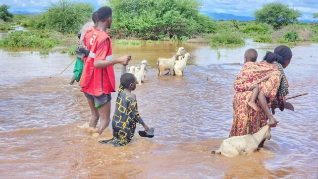 floods-1-scaled-e1701330734381