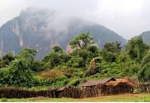 Qoyska Safiya oo dalbaday cadaalad ka dib kufsi iyo dil uu u geestay adeerkeed