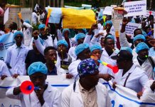 Dhakhaatiirta dalka oo bilaabay shaqo joojin