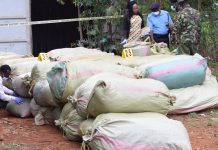 Booliiska Kibra oo gacanta ku dhigay maandooriye sharci darro ah