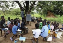 DHEGEYSO:Caqabadaha waxbarashada ee Laikipia oo ku qasbay ardayda inay geedaha hoostooda wax ku bartaan