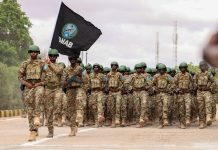 DHEGEYSO:Madaxweyne Xasan Sheekh oo Ciidanka Xoogga Dalka Soomaaliyeed ugu hambalyeey guulihii ay gareen