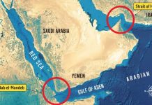 Djibouti: The Strategic Sentinel of the Babel- Mandeb