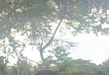 DCI oo sheegtay in Sahara Axmad Barre loo xiray kicin dadweyne