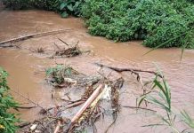 Meydka nin 32 jir ah oo laga helay webi ku yaalla Kirinyaga