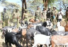 Booliiska oo soo helay 22 neef oo ari ah oo laga xaday Tseikuru ka dib weerar dilal sababay