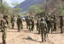 Turkana:Ciidamada booliska oo ka awood roonaaday burcad-hubeysan, kana soo furtay 370 neef oo xoolo ah