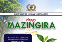 Ismaamulka Kisumu oo qorsheynaysa beerista in ka badan 10,000 geed munaasabadda Maalinta Deegaanka